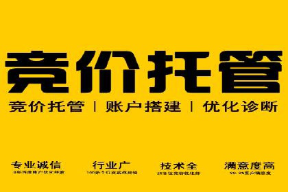 热门信息流广告投放公司案例分析